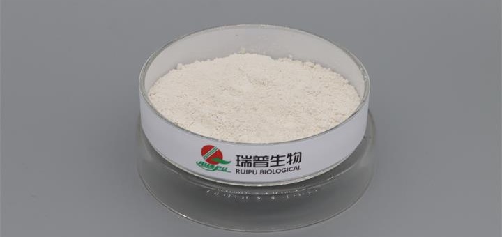 Supermicro Ferric Pyrophosphate